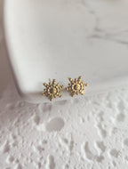 Boucles SOLIS